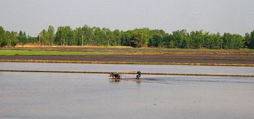 0327 Phitsanulok onderweg.jpg